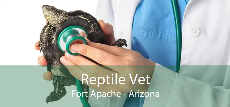 Reptile Vet Fort Apache - Arizona