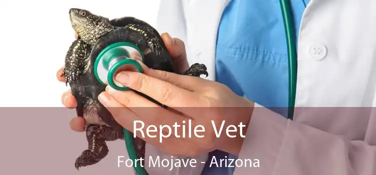 Reptile Vet Fort Mojave - Arizona