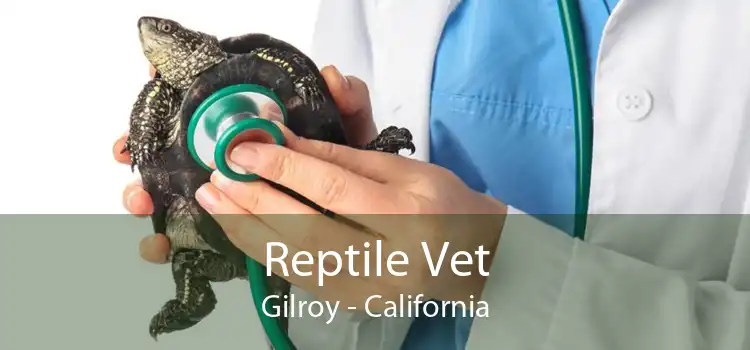 Reptile Vet Gilroy - California