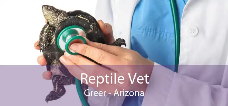 Reptile Vet Greer - Arizona