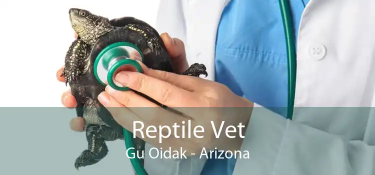 Reptile Vet Gu Oidak - Arizona