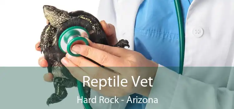 Reptile Vet Hard Rock - Arizona