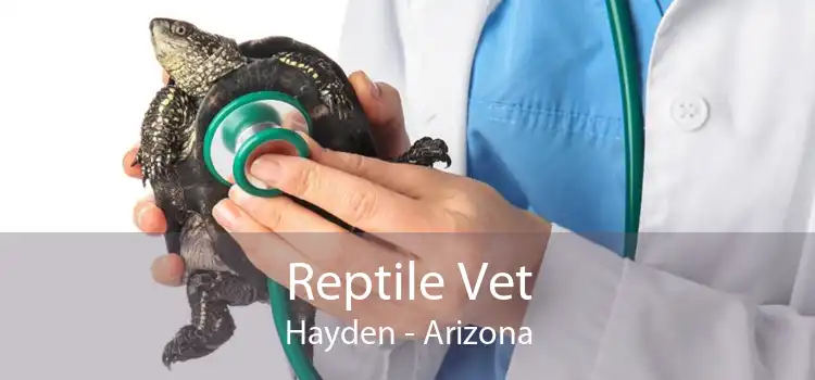 Reptile Vet Hayden - Arizona