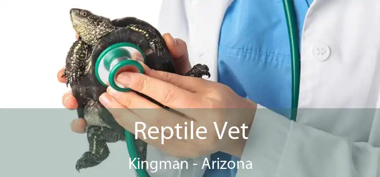 Reptile Vet Kingman - Arizona