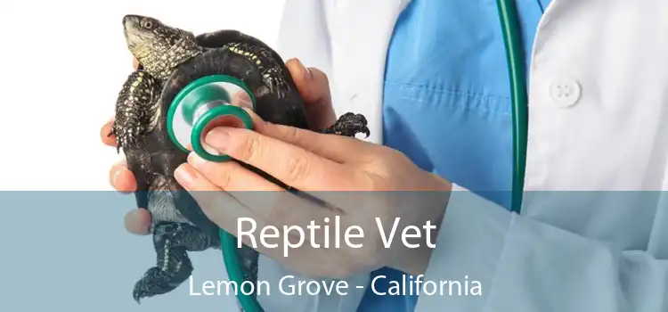 Reptile Vet Lemon Grove - California