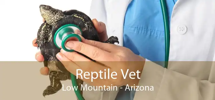 Reptile Vet Low Mountain - Arizona