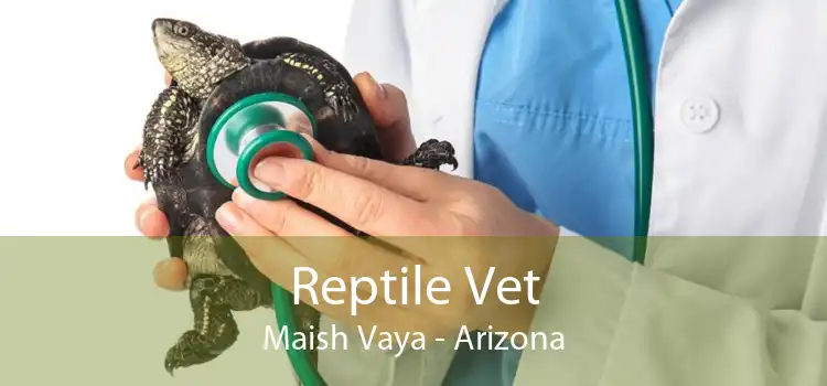 Reptile Vet Maish Vaya - Arizona
