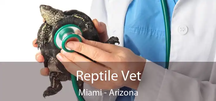 Reptile Vet Miami - Arizona
