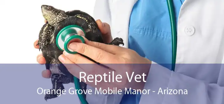 Reptile Vet Orange Grove Mobile Manor - Arizona