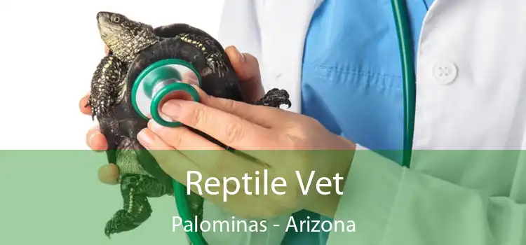 Reptile Vet Palominas - Arizona