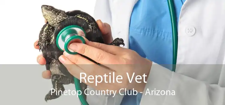 Reptile Vet Pinetop Country Club - Arizona