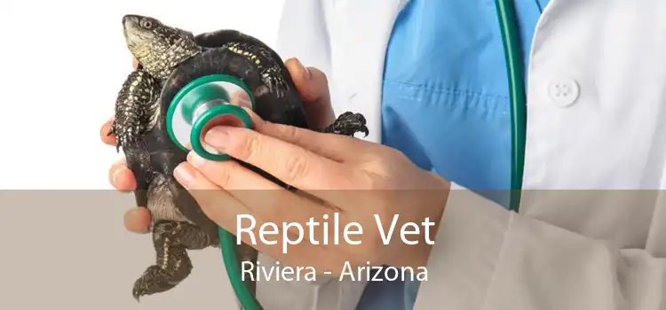 Reptile Vet Riviera - Arizona