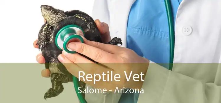 Reptile Vet Salome - Arizona