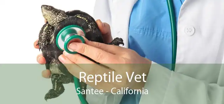 Reptile Vet Santee - California