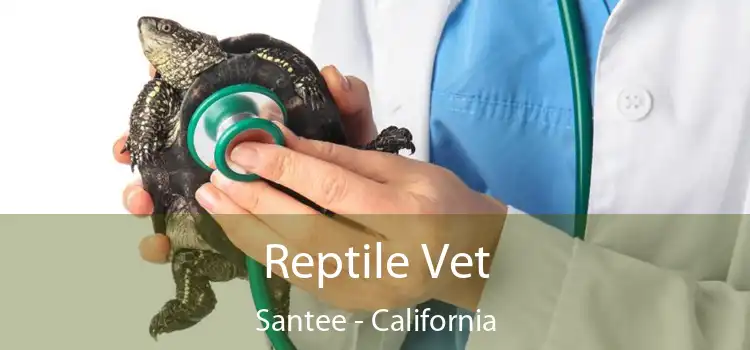 Reptile Vet Santee - California