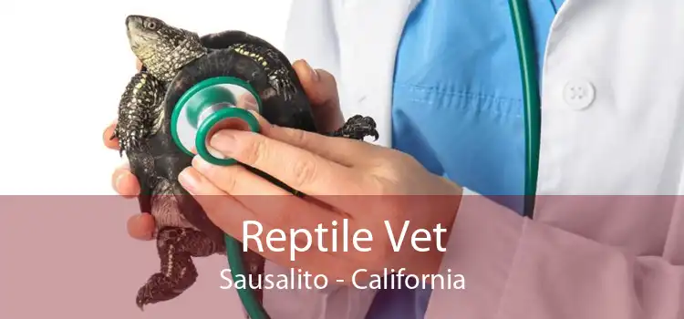 Reptile Vet Sausalito - California