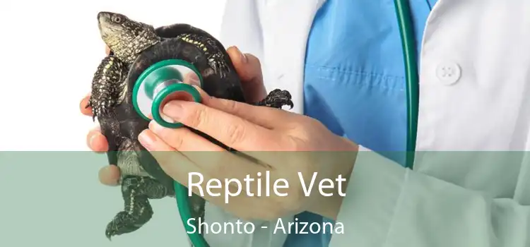 Reptile Vet Shonto - Arizona