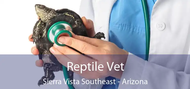 Reptile Vet Sierra Vista Southeast - Arizona