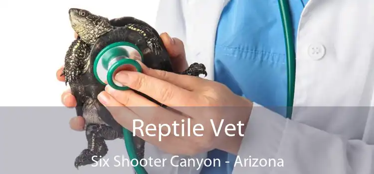 Reptile Vet Six Shooter Canyon - Arizona
