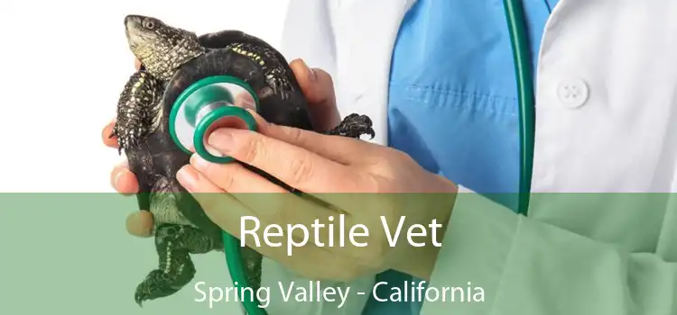 Reptile Vet Spring Valley - California