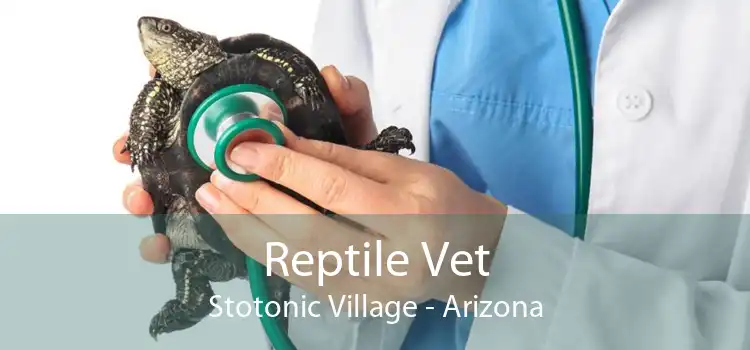 Reptile Vet Stotonic Village - Arizona