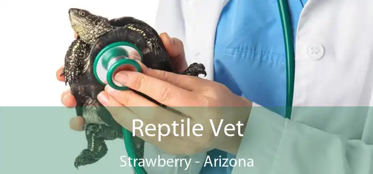 Reptile Vet Strawberry - Arizona