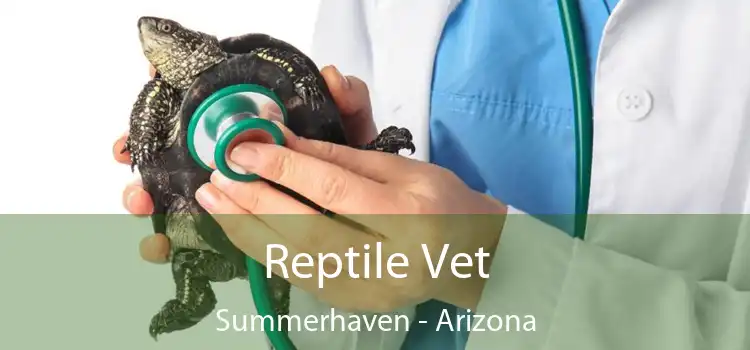Reptile Vet Summerhaven - Arizona