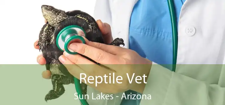 Reptile Vet Sun Lakes - Arizona