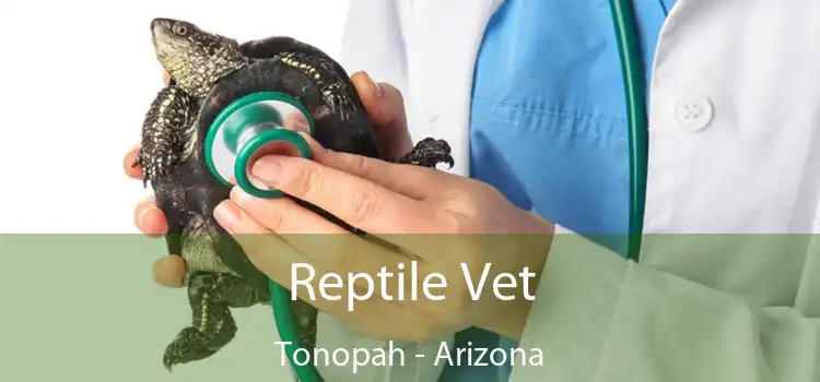 Reptile Vet Tonopah - Arizona