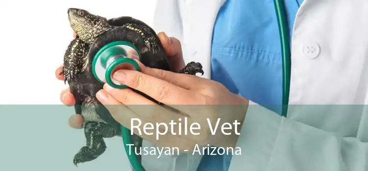 Reptile Vet Tusayan - Arizona