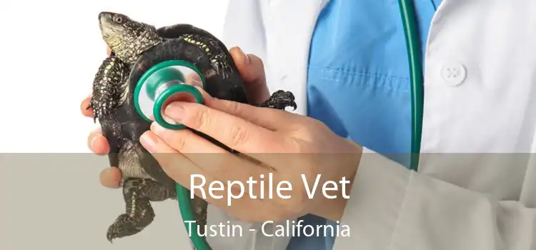 Reptile Vet Tustin - California