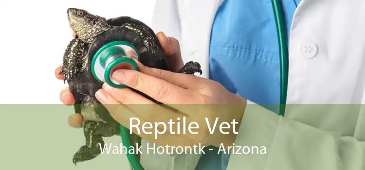 Reptile Vet Wahak Hotrontk - Arizona