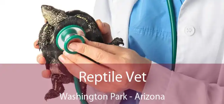 Reptile Vet Washington Park - Arizona