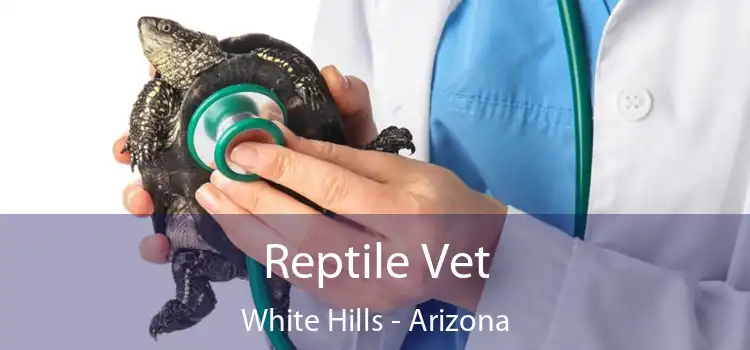 Reptile Vet White Hills - Arizona