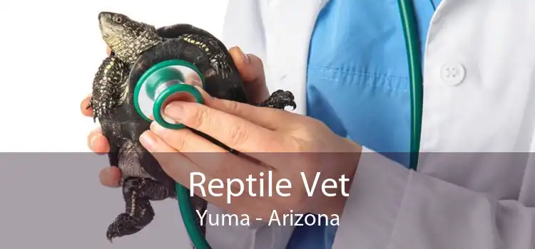 Reptile Vet Yuma - Arizona