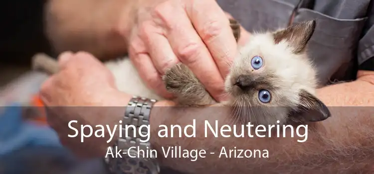 Spaying and Neutering Ak-Chin Village - Arizona