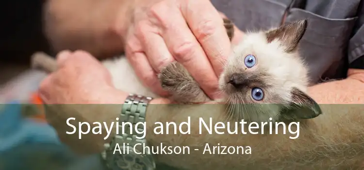Spaying and Neutering Ali Chukson - Arizona