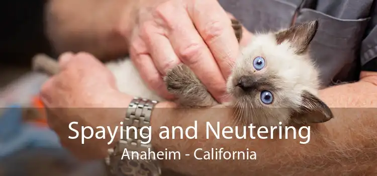 Spaying and Neutering Anaheim - California
