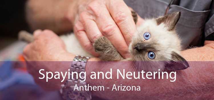 Spaying and Neutering Anthem - Arizona