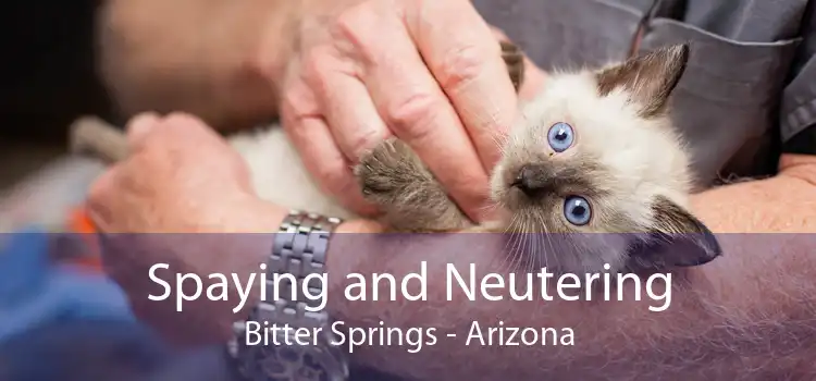 Spaying and Neutering Bitter Springs - Arizona
