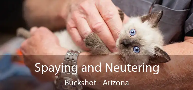 Spaying and Neutering Buckshot - Arizona