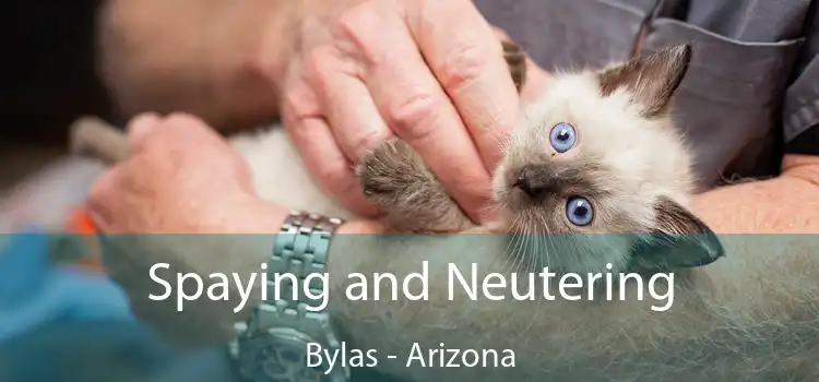 Spaying and Neutering Bylas - Arizona