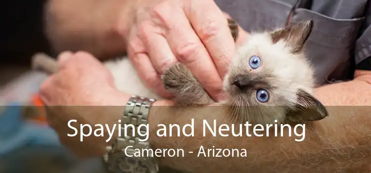 Spaying and Neutering Cameron - Arizona