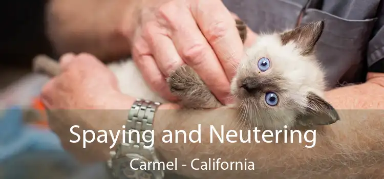 Spaying and Neutering Carmel - California