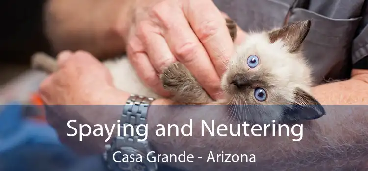 Spaying and Neutering Casa Grande - Arizona