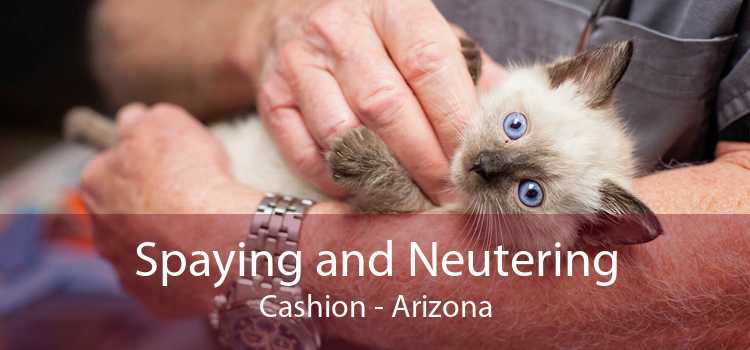 Spaying and Neutering Cashion - Arizona