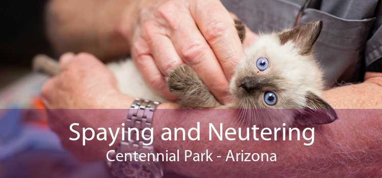 Spaying and Neutering Centennial Park - Arizona