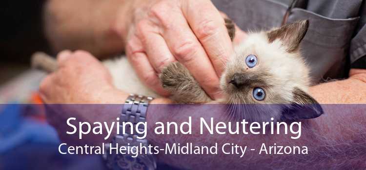 Spaying and Neutering Central Heights-Midland City - Arizona