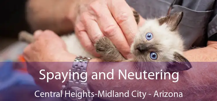 Spaying and Neutering Central Heights-Midland City - Arizona