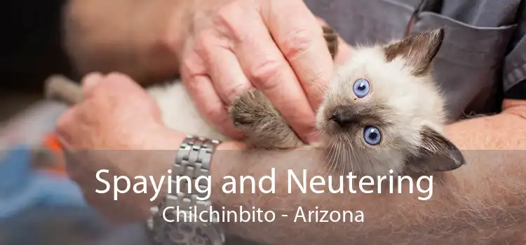 Spaying and Neutering Chilchinbito - Arizona